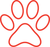 Pit Bull puppy paw print icon for adoption